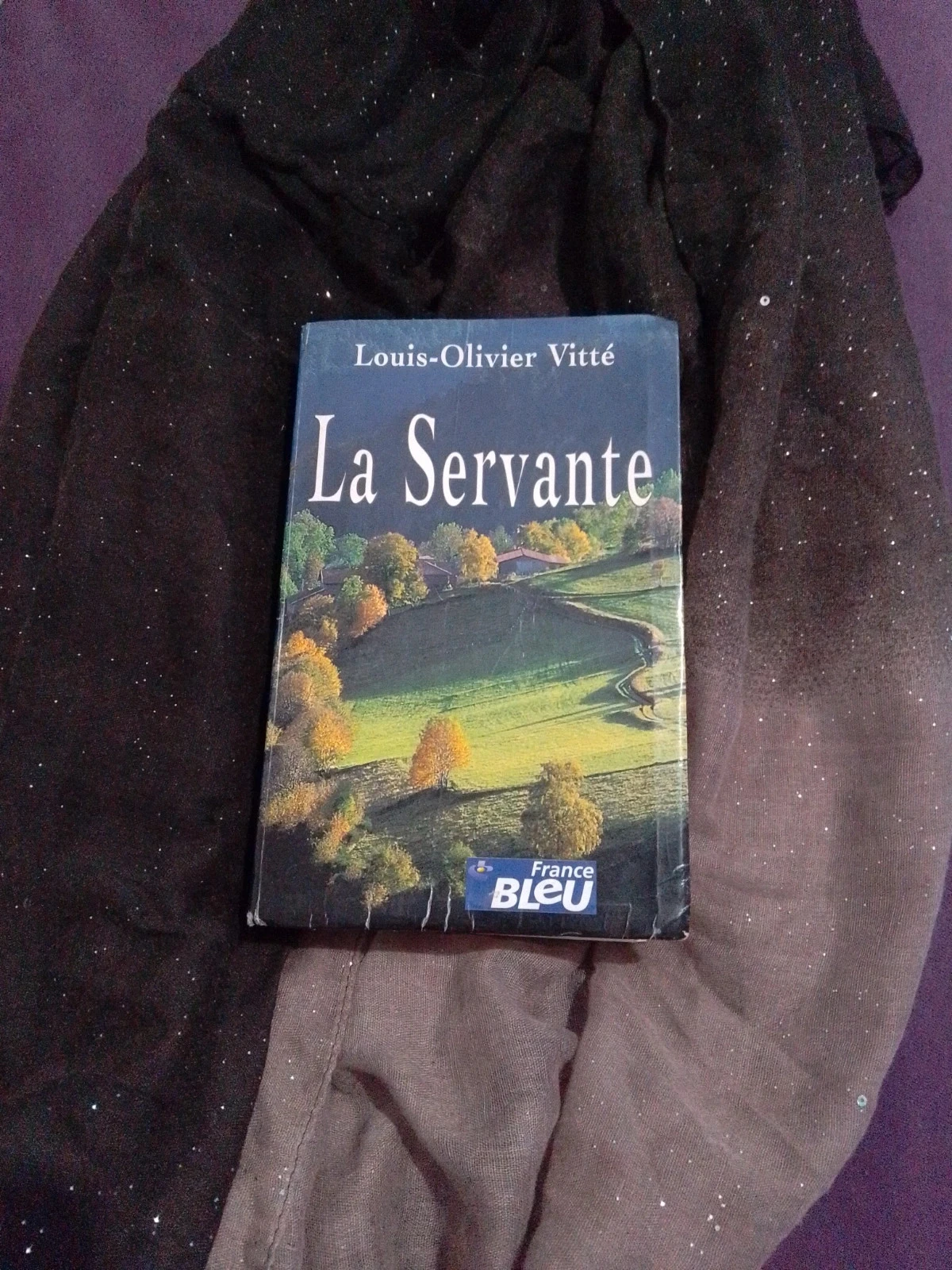 La servante